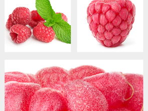 果蔬設(shè)計靈感集 高清圖片與模板資源全解析