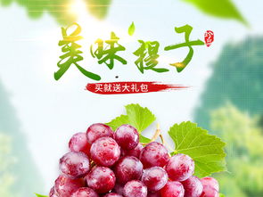 水果葡萄提子菩提水蜜桃主圖直通車PSD設(shè)計素材 高清模板下載與食品茶飲應(yīng)用大全